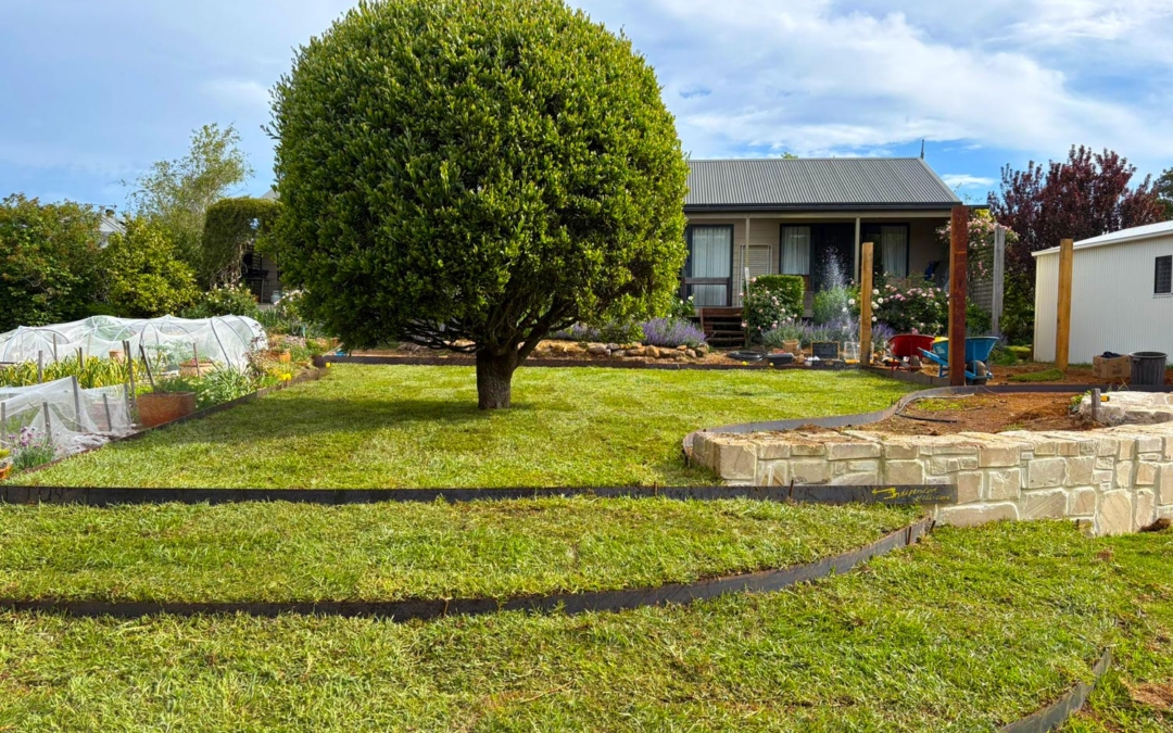Meadows Ln Robertson